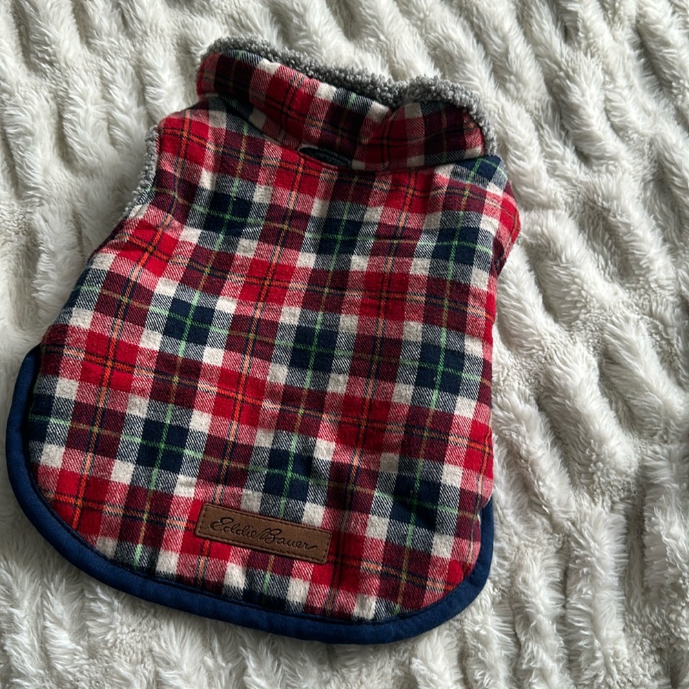 Eddie Bauer dog sweater.